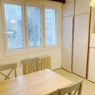 Pronájem bytu 1+1 38 m² Praha, Pražská