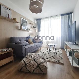 Prodej bytu 1+kk a garsoniéry 23 m² Praha, Čenětická