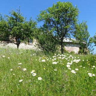 Prodej stavební parcely 300 m² Petrovice