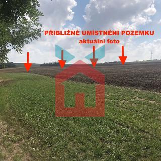 Prodej zemědělské půdy 13 308 m² Vážany nad Litavou, 