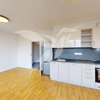 Pronájem bytu 1+kk a garsoniéry 29 m² Plzeň, Baarova