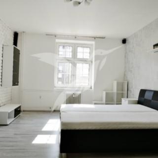 Pronájem bytu 1+1 46 m² Plzeň