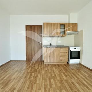 Pronájem bytu 1+kk a garsoniéry 27 m² Plzeň, Na Chmelnicích