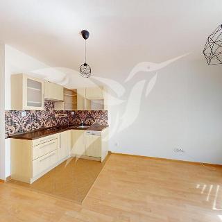 Pronájem bytu 1+kk a garsoniéry 29 m² Praha, Karla Kryla