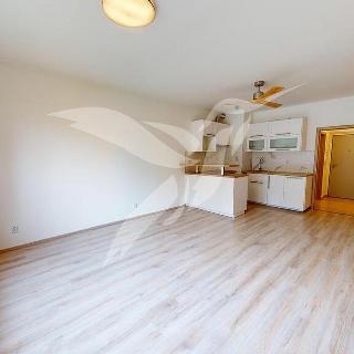 Pronájem bytu 1+kk a garsoniéry 32 m² Plzeň, Špačková