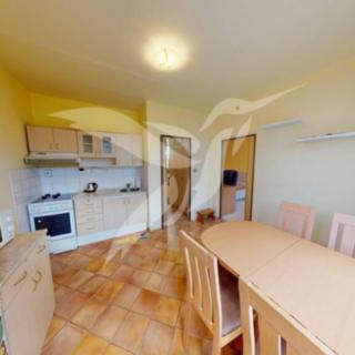 Pronájem bytu 1+1 39 m² Nepomuk, Družstevní