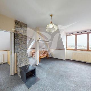 Pronájem bytu 2+1 52 m² Vejprnice, Pionýrská