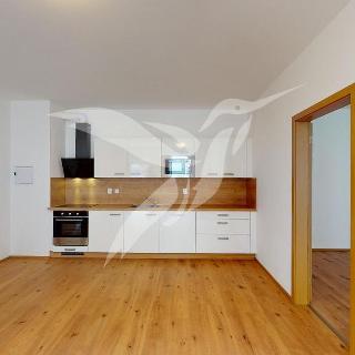 Pronájem bytu 2+kk 76 m² Plzeň, Hradišťská