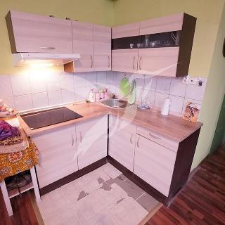 Pronájem bytu 1+kk a garsoniéry 30 m² Plzeň, Staniční