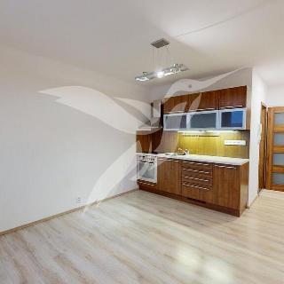 Pronájem bytu 1+1 36 m² Plzeň, Skupova