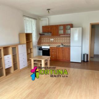 Pronájem bytu 1+kk a garsoniéry 30 m² Dobrá Voda u Českých Budějovic, Lázeňská
