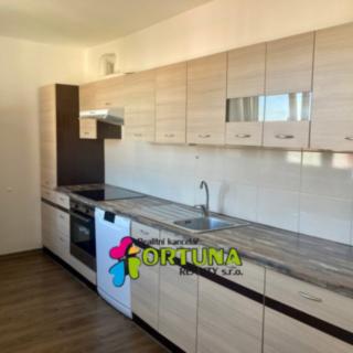 Pronájem bytu 3+1 90 m² České Budějovice 3, Skuherského