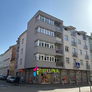 Prodej bytu 3+1 74 m² České Budějovice, Nová