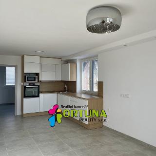 Prodej bytu 3+kk 78 m² Ktiš, 