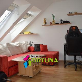 Prodej bytu 2+kk 37 m² České Budějovice, Lidická tř.