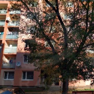 Dražba ostatního bytu 65 m² Holýšov, 