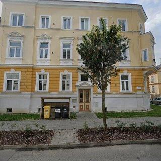 Dražba bytu 1+kk a garsoniéry 20 m² Olomouc, 