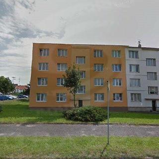 Dražba ostatního bytu 56 m² Bor, 