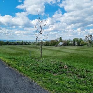 Dražba zemědělské půdy 24 442 m² Trojanovice