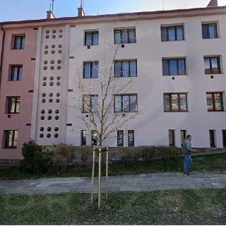 Dražba bytu 2+1 54 m² Žacléř, 