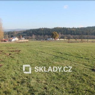 Prodej komerčního pozemku 25 000 m² Kynšperk nad Ohří, 