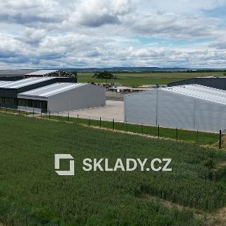 Pronájem skladu 550 m² Cvrčovice, 