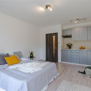 Prodej bytu 1+kk a garsoniéry 26 m² Praha, Frýdecká