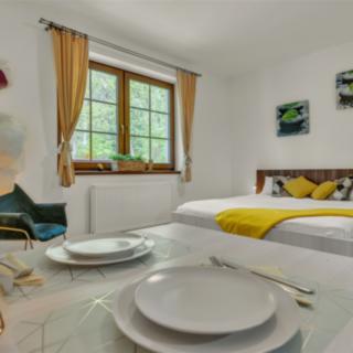 Prodej bytu 1+kk a garsoniéry 28 m² Rokytnice nad Jizerou Dolní Rokytnice