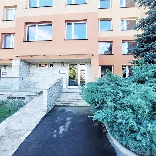 Pronájem bytu 2+kk 61 m² Praha, Holubkova