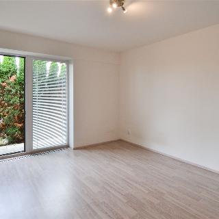 Pronájem bytu 1+kk a garsoniéry 26 m² Praha