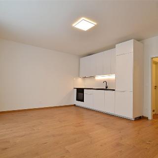 Pronájem bytu 1+kk a garsoniéry 36 m² Praha, Sedlářova