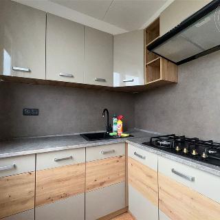 Pronájem bytu 2+1 54 m² Louny, Kosmonautů