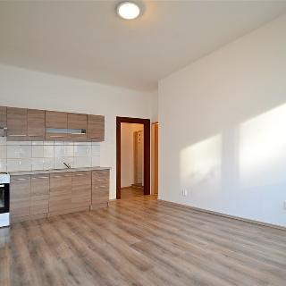 Prodej bytu 2+kk 44 m² Praha, Osadní