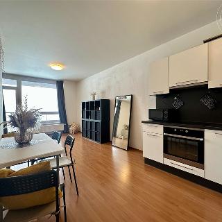 Pronájem bytu 1+kk a garsoniéry 50 m² Praha, Svitákova