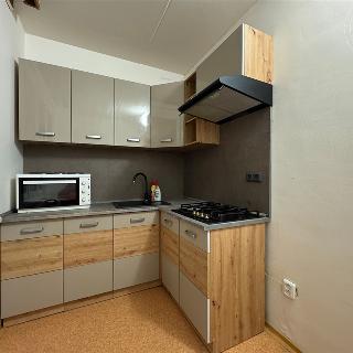 Pronájem bytu 2+1 54 m² Louny, Kosmonautů