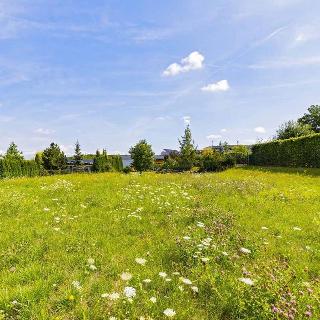 Prodej stavební parcely 800 m² Zdiby