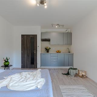 Prodej bytu 1+kk a garsoniéry 26 m² Praha, Frýdecká