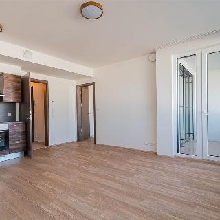 Pronájem bytu 2+kk 48 m² Praha, Jankovcova