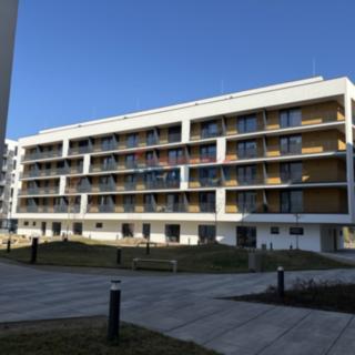 Pronájem bytu 1+kk a garsoniéry 39 m² České Budějovice 4, Vrbenská