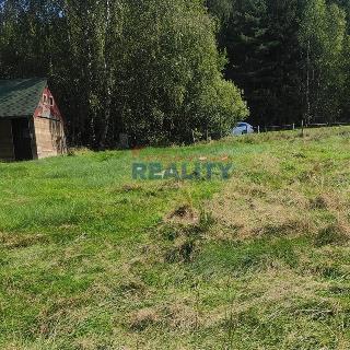 Prodej stavební parcely 5 303 m² Besednice, Ke Střelnici