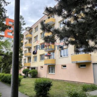 Pronájem bytu 1+1 37 m² České Budějovice