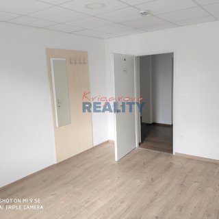 Pronájem kanceláře 42 m² Homole