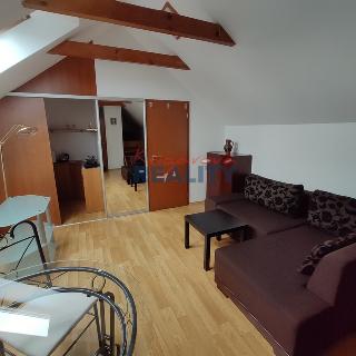 Pronájem bytu 1+kk a garsoniéry 29 m² České Budějovice, B. Smetany