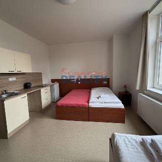 Pronájem bytu 1+kk a garsoniéry 30 m² České Budějovice, Jiráskovo nábř.