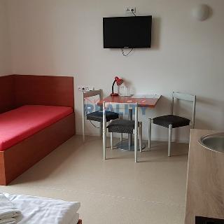 Pronájem bytu 1+kk, garsoniery 30 m² České Budějovice