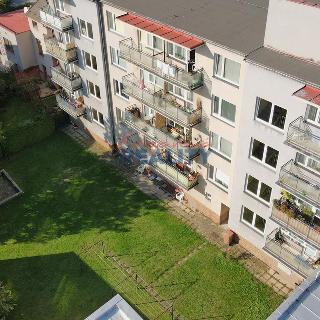 Prodej bytu 3+1 66 m² České Budějovice, Dobrovodská