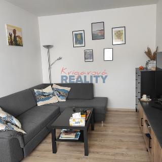 Prodej bytu 2+1 54 m² České Budějovice