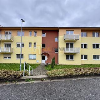 Prodej bytu 1+1 35 m² Kyjov, Koliba