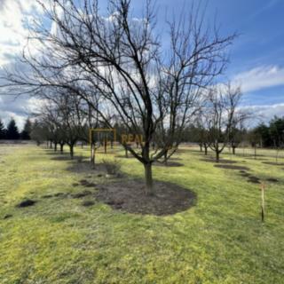 Prodej zahrady 1 725 m² Uherské Hradiště
