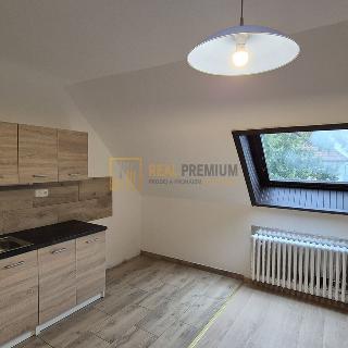 Pronájem bytu 2+kk 48 m² Uherský Brod, Svat. Čecha